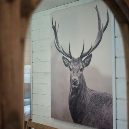 Chalet Le Grand Cerf Büllingen Buitenkant foto