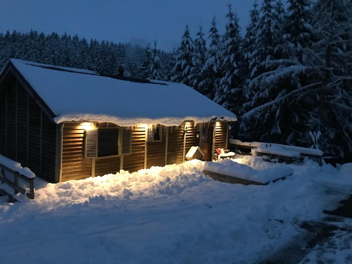 Chalet Le Grand Cerf Büllingen Buitenkant foto