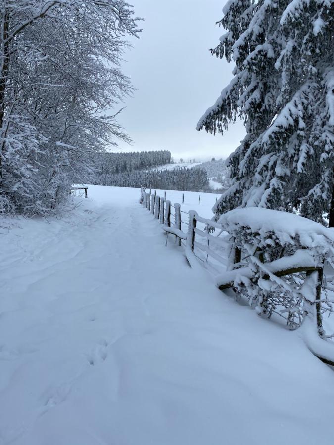 Chalet Le Grand Cerf Büllingen Buitenkant foto